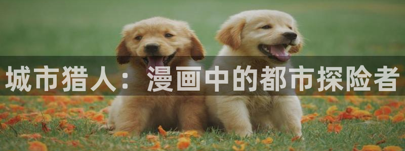 汗汗漫画首页yy：城市猎人：漫画中的都市探险者