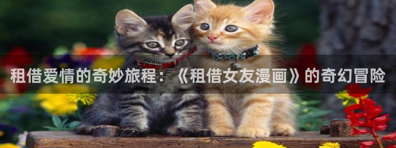歪歪漫画汗汗漫画韩漫：租借爱情的奇妙旅程：《租借女友漫画》的奇幻冒险