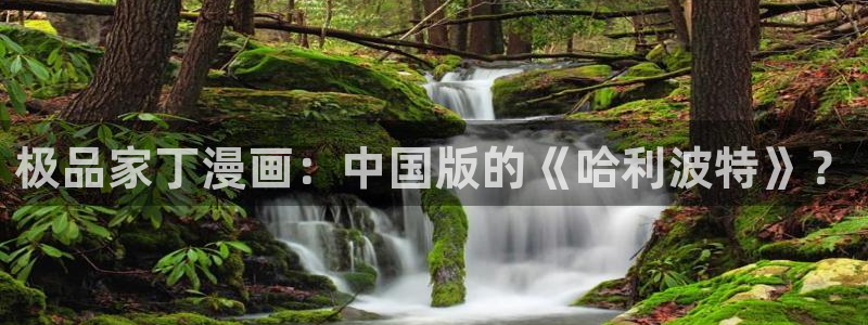 汗汗漫画排行榜：极品家丁漫画：中国版的《哈利波特》？