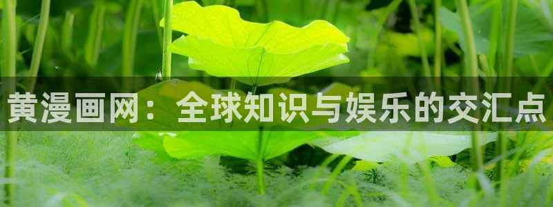 汗汗漫画观看：黄漫画网：全球知识与娱乐的交汇点