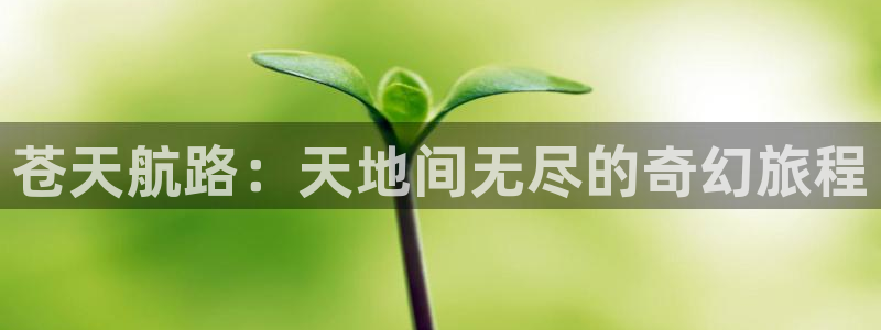 汗汗漫画sss免费入口yy：苍天航路：天地间无尽的奇幻旅程