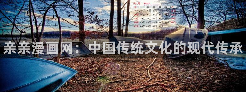 汗汗漫画91：亲亲漫画网：中国传统文化的现代传承